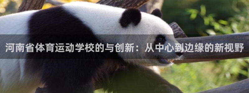 米兰体育官方正版app娱乐平台:河南省体育运动学校的与创新: