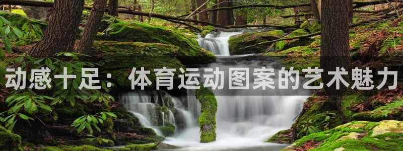 米兰体育官网下载:动感十足:体育运动图案的艺术魅力