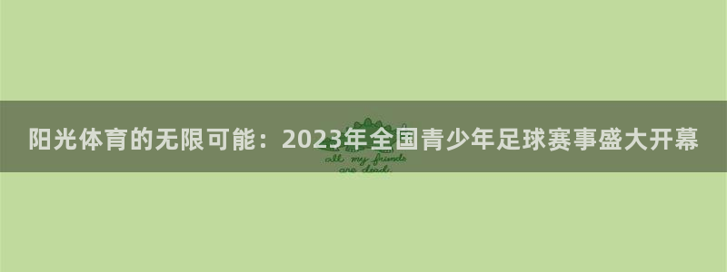 米兰体育官网下载软件:阳光体育的无限可能:2023年全国青少