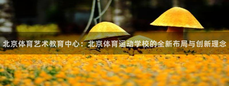 米兰体育官方正版app集团E.ON:北京体育艺术教育中心:北