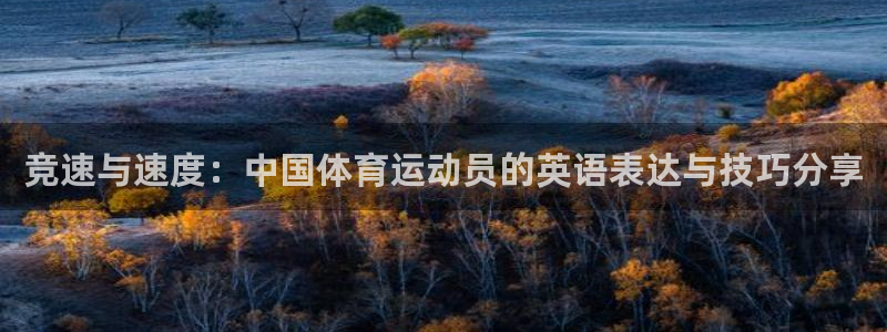 米兰体育官网下载平台注册要钱吗是真的吗:竞速与速度:中国体育